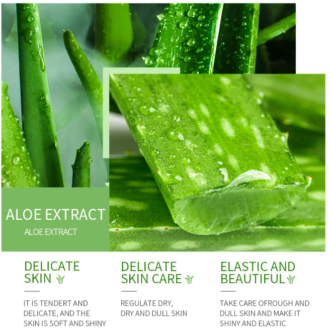 Aloe Vera Feuchtigkeitsgel